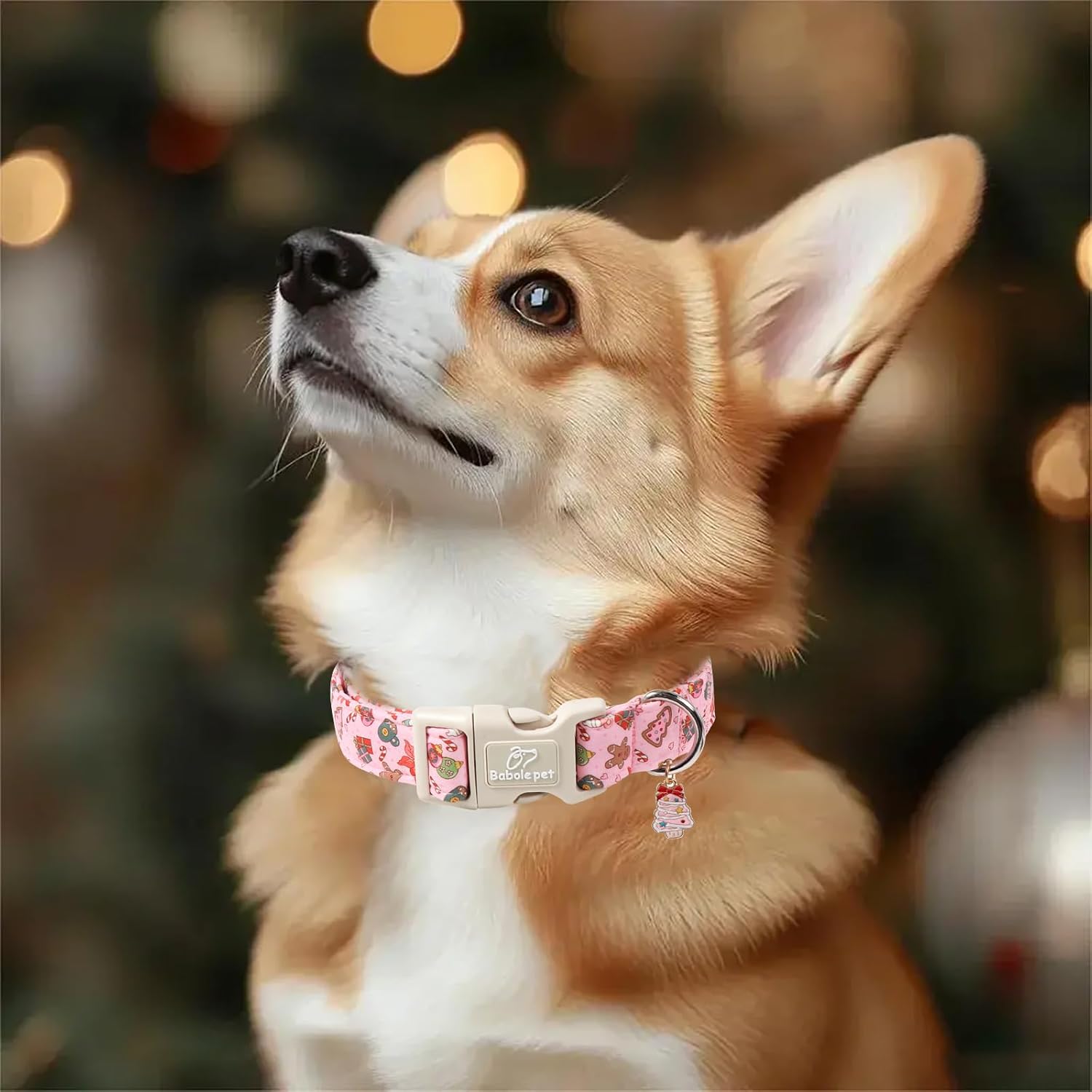 Christmas Dog Collar – Soft Red Santa Puppy Collar, Adjustable & Comfy for Small Dogs
