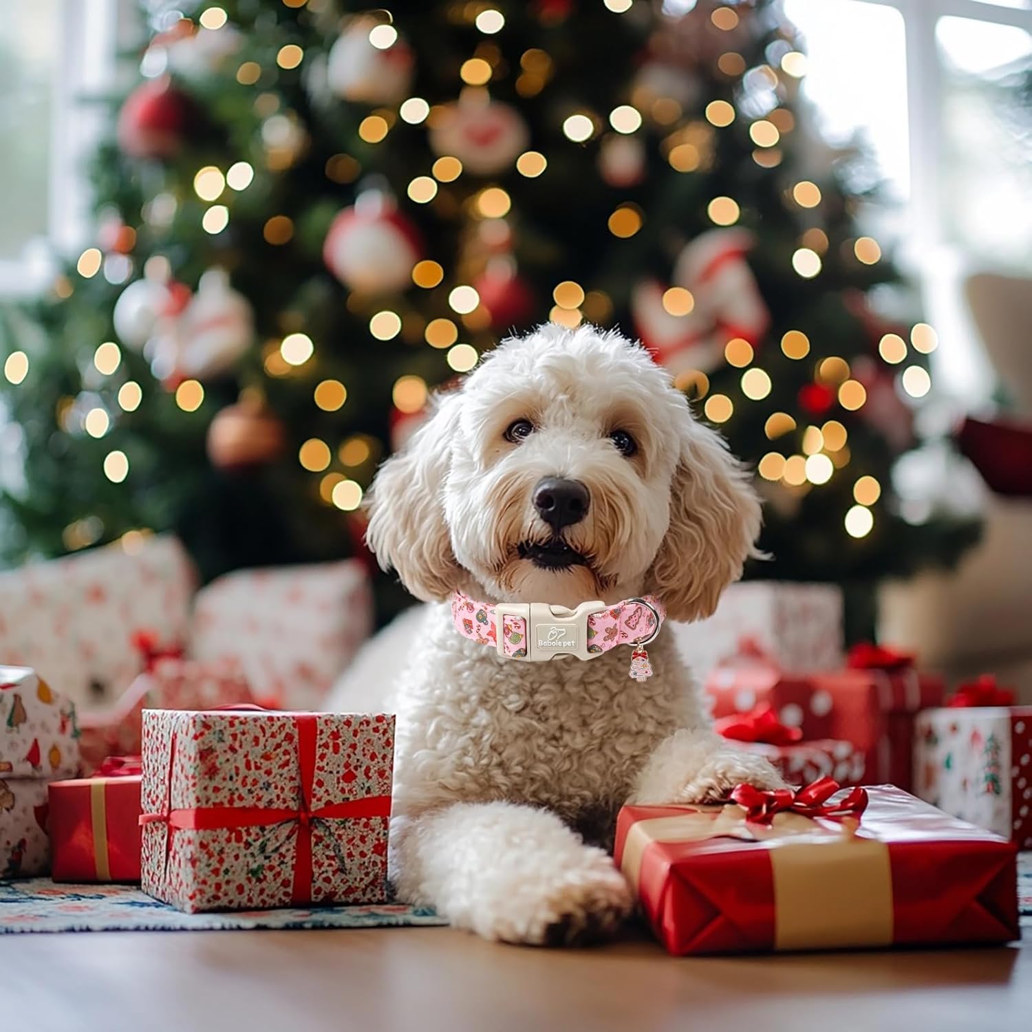 Christmas Dog Collar – Soft Red Santa Puppy Collar, Adjustable & Comfy for Small Dogs